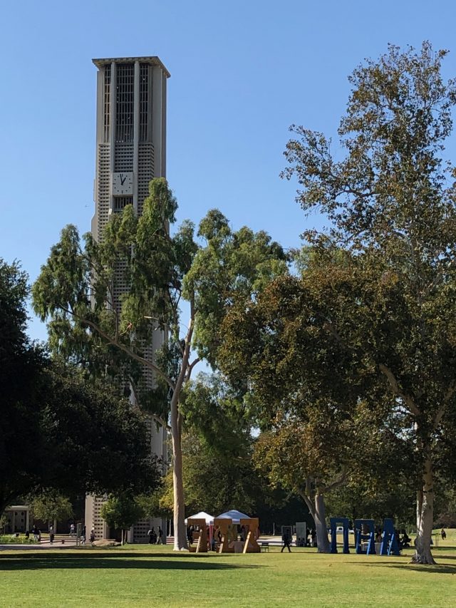 University of CA riverside