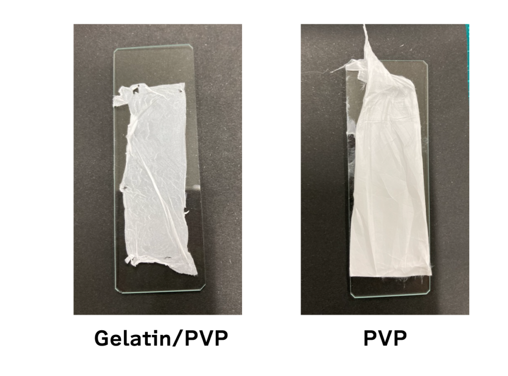 Trial spinning of gelatin/PVP mixed nanofiber sheet!