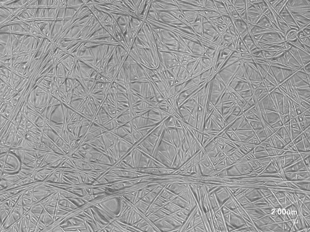 Trial spinning of gelatin/PVP mixed nanofiber sheet②