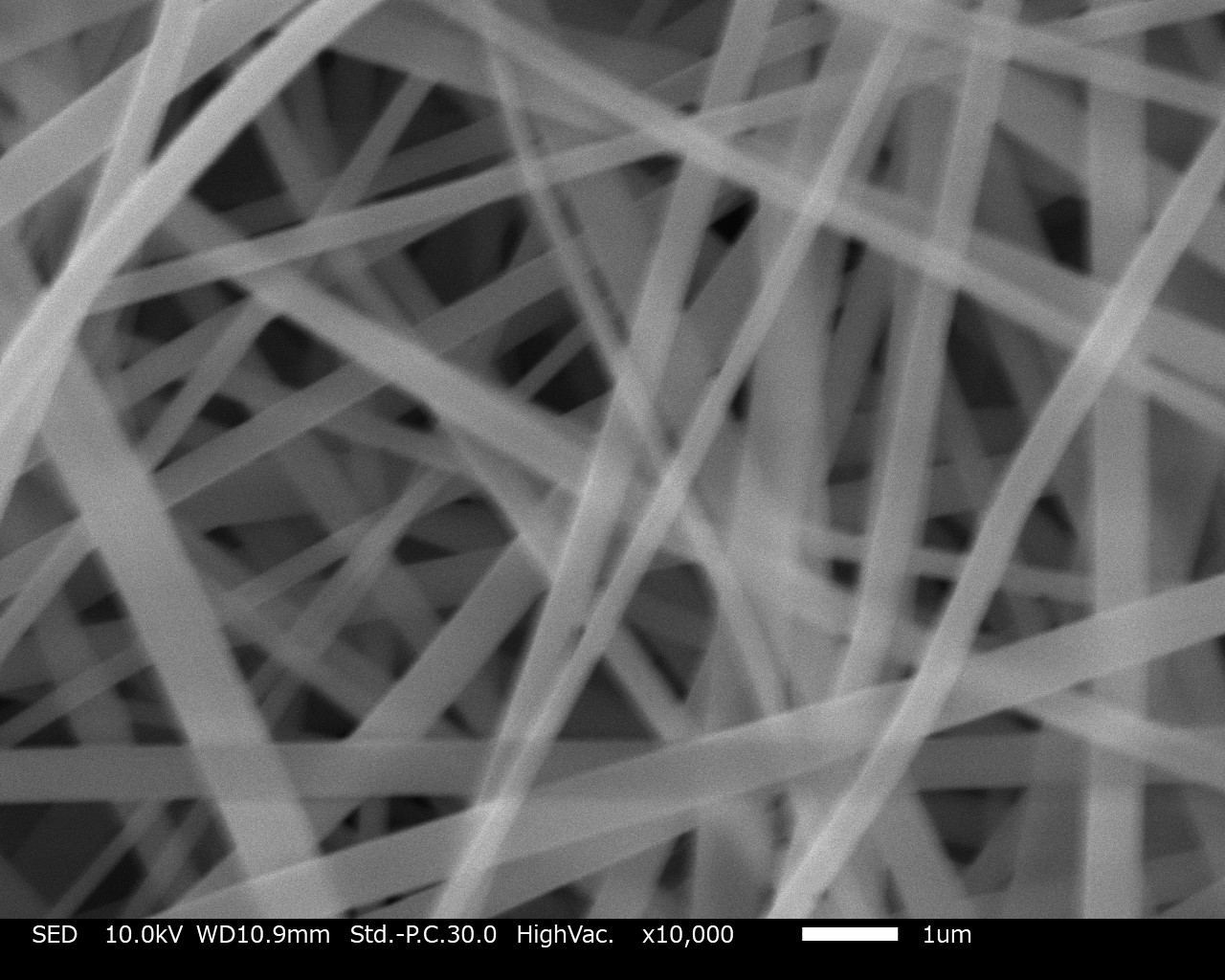 We electrospun composite nanofiber sheets with gelatin and PVA.③